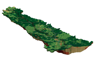 Texture2Par Example 1: SVSIM