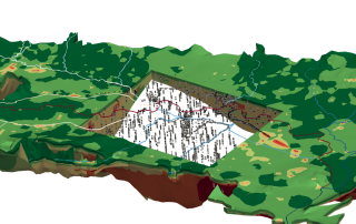 Texture2Par Example 4: SVSIM Zoomed